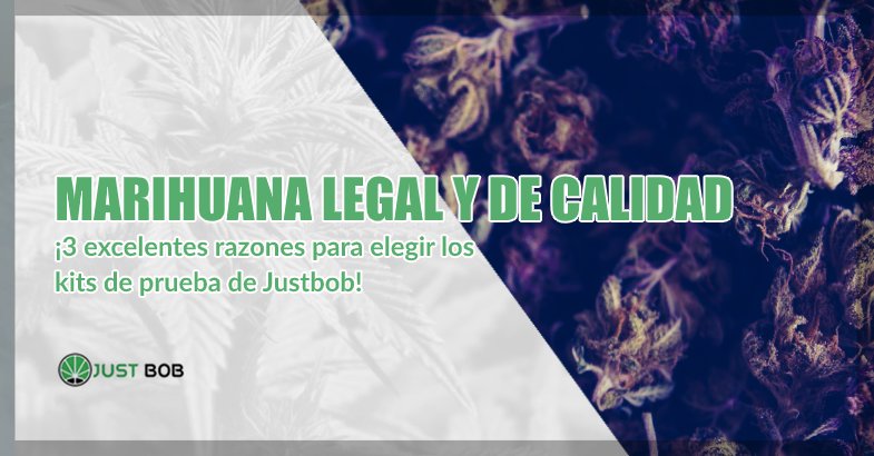 Marihuana cbd de calidad