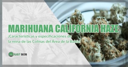 Marihuana sin thc California Haze