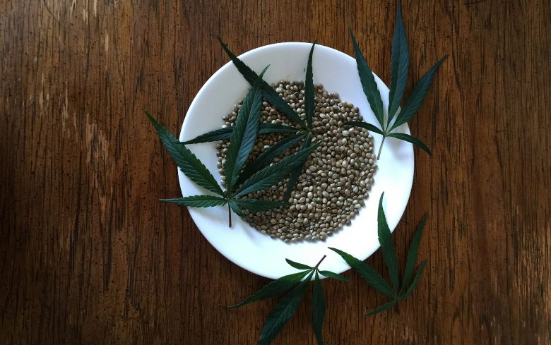 Semillas de marihuana cbd o clàsica