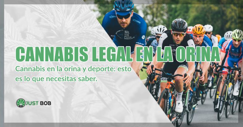 cannabis cbd en la orina