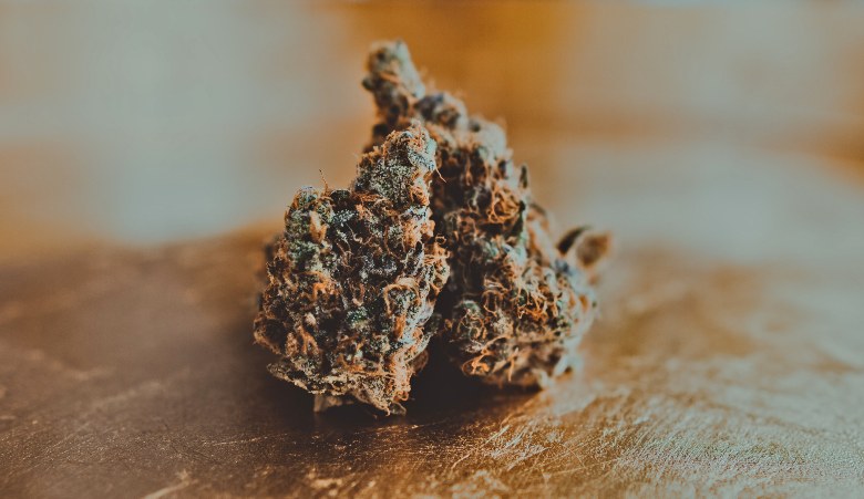 cannabis cbd mango haze