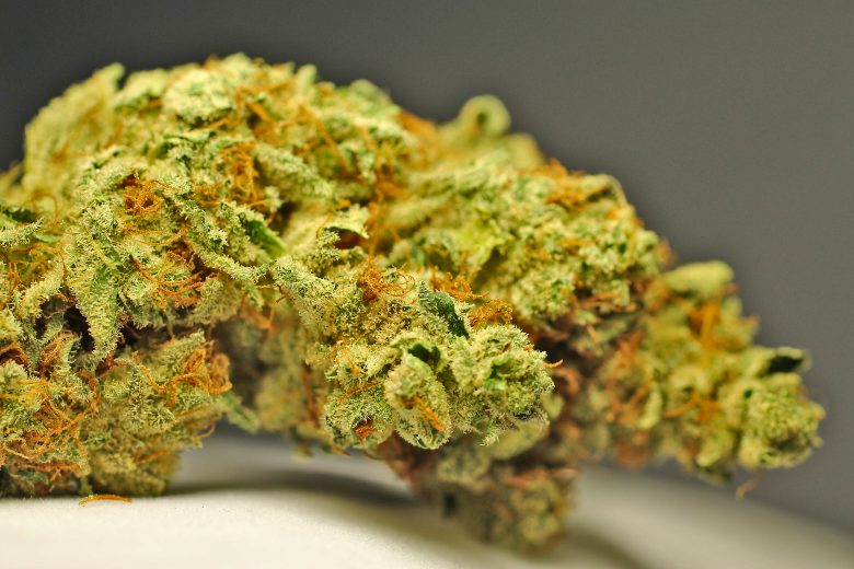 cannabis cbd white widow