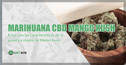 comprar Marihuana mango Kush