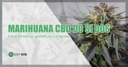 comprar marihuana CBD do si dos