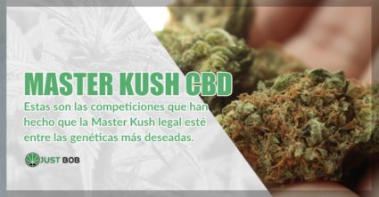 comprar marihuana Master Kush