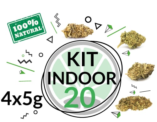 kit-indoor-20-grammi Kit de Prueba Indoor 20 gramos de Cannabis CBD por 4 variedades