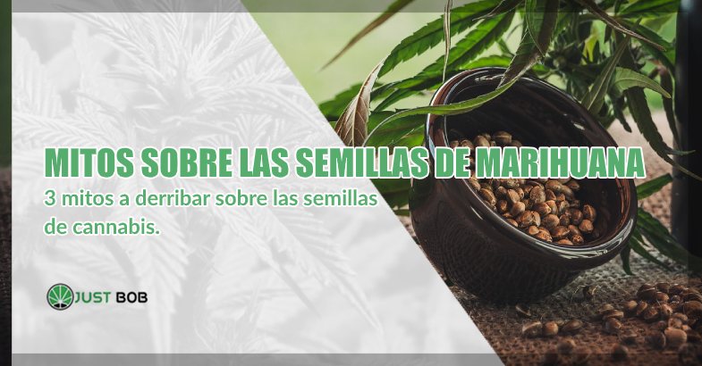 mitos a derribar sobre las semillas de marihuana cbd