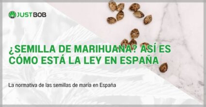 ¿Semilla de marihuana? La ley en España
