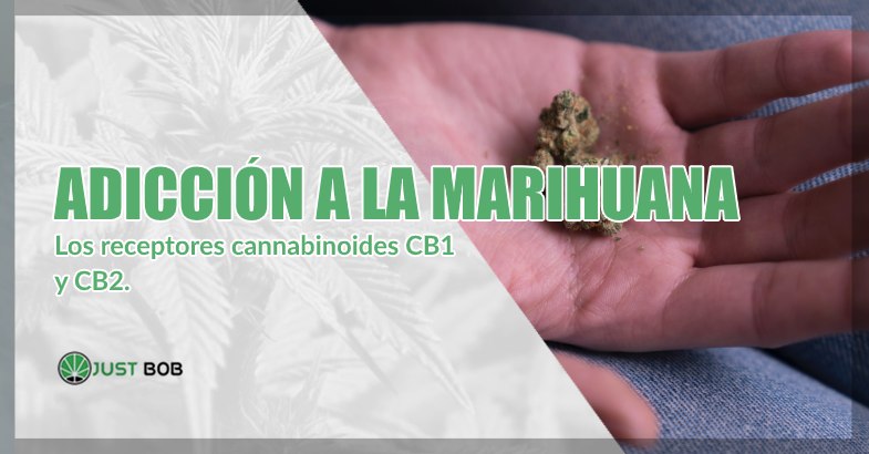 Adicción a la marihuana