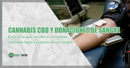 Cannabis cbd y donaciones voluntarias de sangre