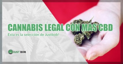 Cannabis legal con más CBD