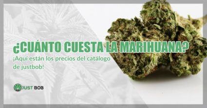 Cuánto cuesta la marihuana cbd