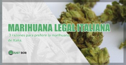 Marihuana cbd italiana