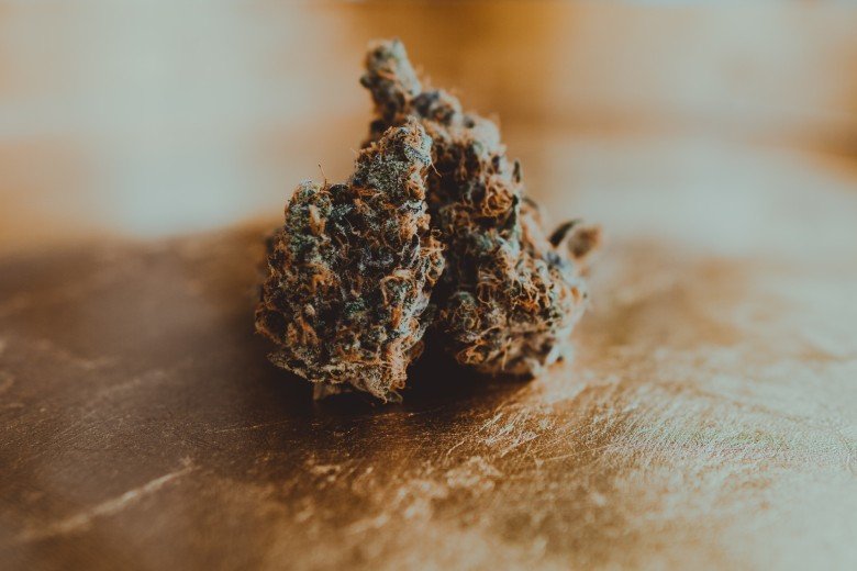 cannabis cbd bajo thc