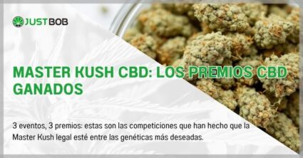 Master Kush CBD: los premios CBD ganados