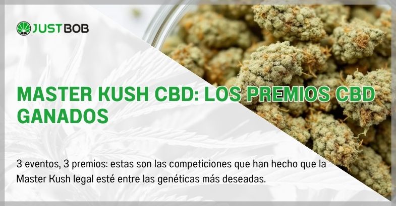 Master Kush CBD: los premios CBD ganados