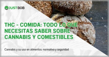THC - Comida: todo lo que necesitas saber sobre cannabis y comestibles