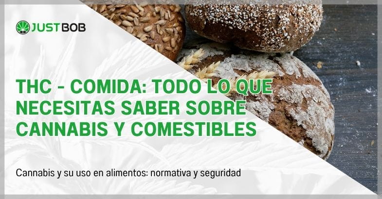 THC - Comida: todo lo que necesitas saber sobre cannabis y comestibles