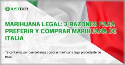 Marihuana legal: 3 razones para preferir y comprar marihuana de Italia