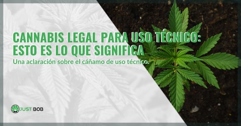 Cannabis legal para uso técnico: esto es lo que significa