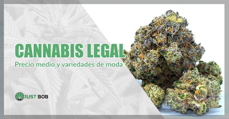 Cannabis legal precio medio