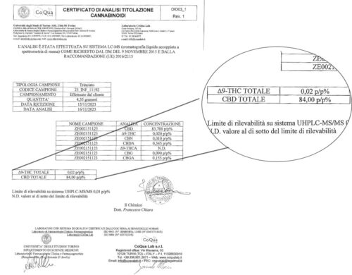 Imagen ampliada del análisis del extracto de CBD icerock
