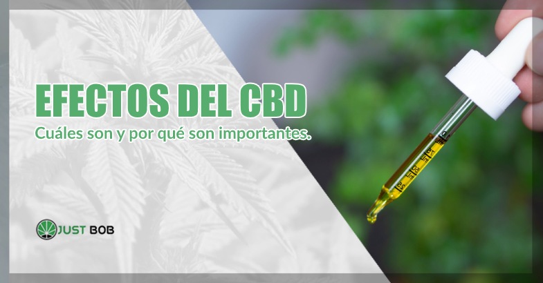 efectos del cbd