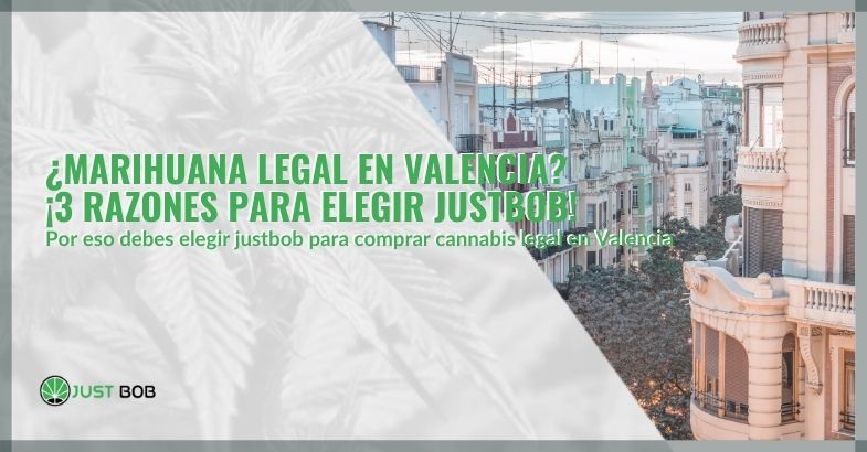 ¿Marihuana legal en Valencia? ¡3 razones para elegir Justbob!