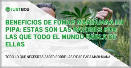 Beneficios de fumar marihuana en pipa