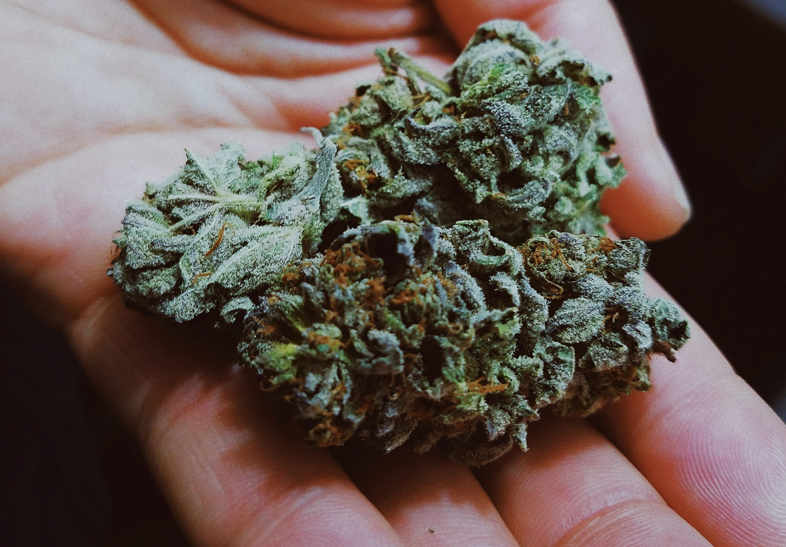 Marihuana CBD
