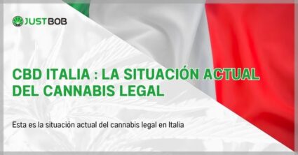 CBD Italia : la situación actual del cannabis legal