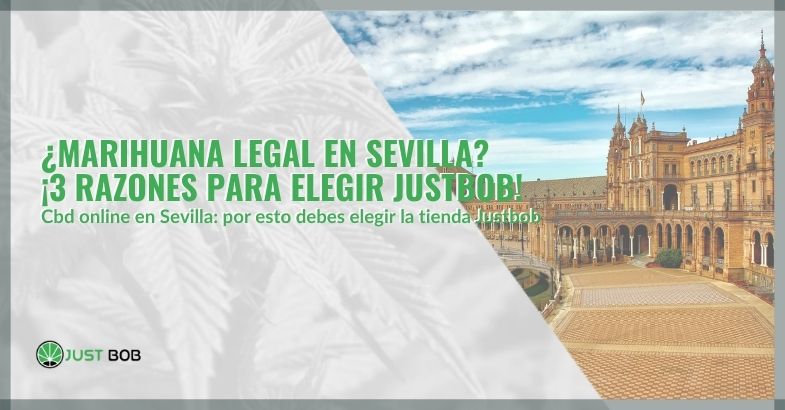 ¿Marihuana legal en Sevilla? ¡3 razones para elegir Justbob!