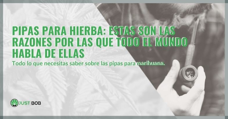 Pipas para hierba: estas son las razones por las que todo el mundo habla de ellas