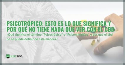 Psicotrópico: esto es lo que significa y por qué no tiene nada que ver con el CBD