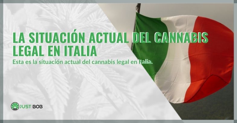 La situación actual del cannabis legal en Italia