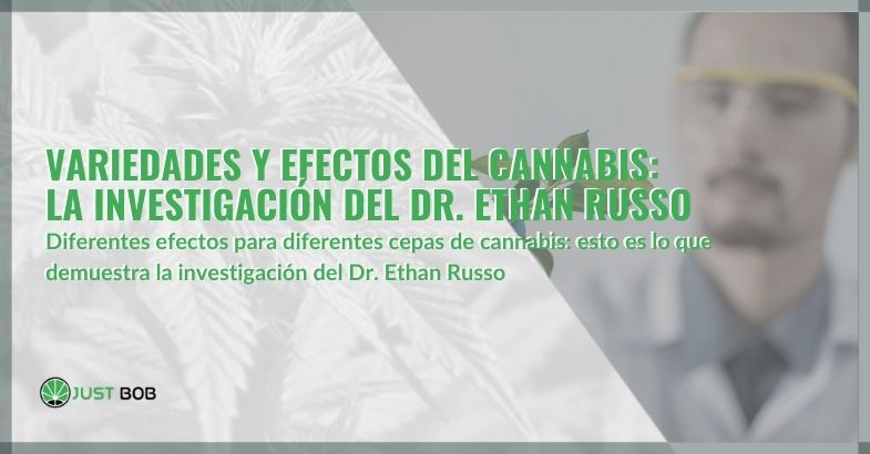 Variedades y efectos del cannabis: la investigación del Dr. Ethan Russo.