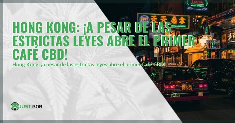 Se abre el primer CBD Cafe en Hong Kong