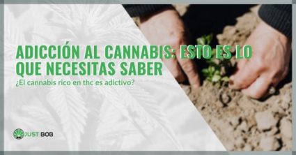 Adicción al cannabis: esto es lo que necesitas saber