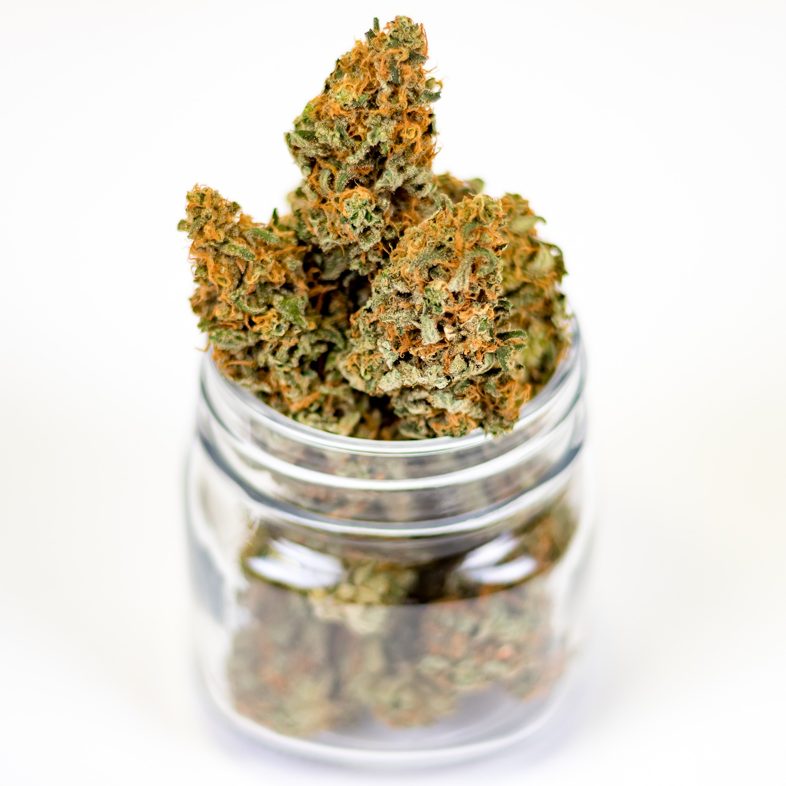 La fuerte demanda más una prohibición permitieron la venta de marihuana