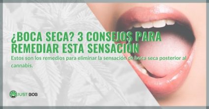 ¿Boca seca? 3 consejos para remediar esta sensación