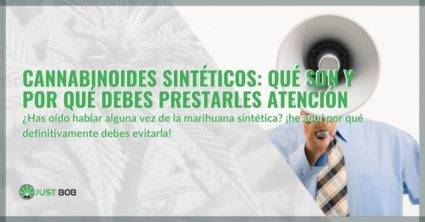 Cannabinoides sintéticos: qué son y por qué debes prestarles atención