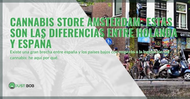 Cannabis store en Amsterdam: veamos las diferencias con España
