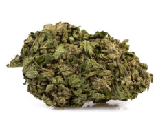 cogollo de cannabis cbg zkittles
