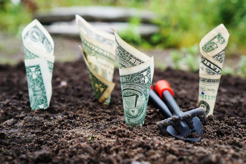 ¿Son asequibles los ETF de marihuana? y como funcionan