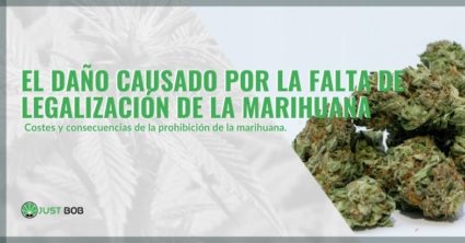 daño-fracaso-legalización-marihuana Los daños de no legalizar la marihuana
