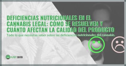 todo las infos sobre las deficiencias nutricionales del cannabis