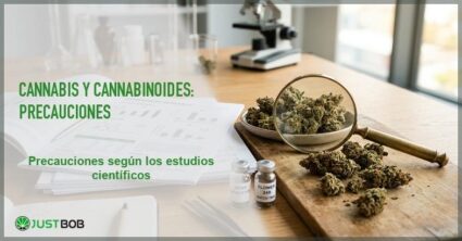 Articulos de investigacion medica y una lupa junto a flores secas de canamo CBD sobre un escritorio limpio