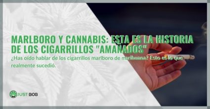 Marlboro y Cannabis: esta es la historia de los cigarrillos "amañados"