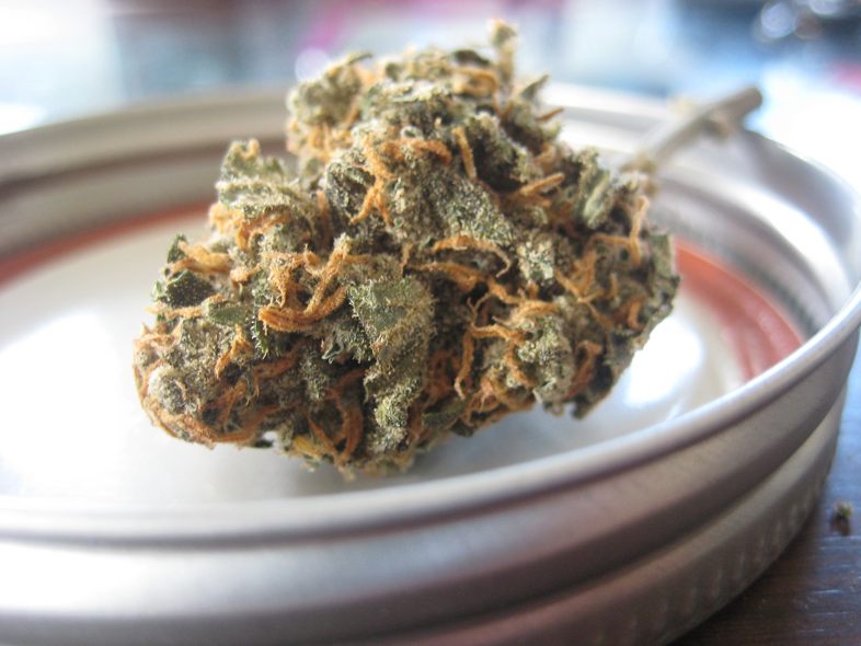 Explicamos por qué Hong Kong se ha abierto al uso de CBD
