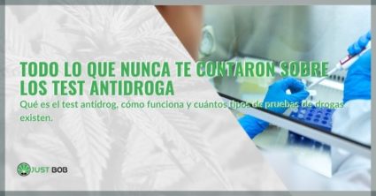 Todo lo que nunca te contaron sobre los test antidroga